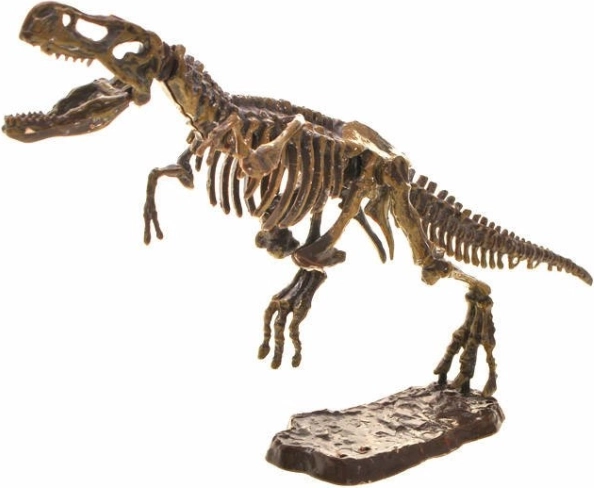 Schelet T‑Rex 3D asamblabil