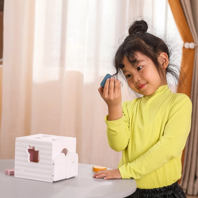 Viga PolarB Sortator educativ cu blocuri Montessori