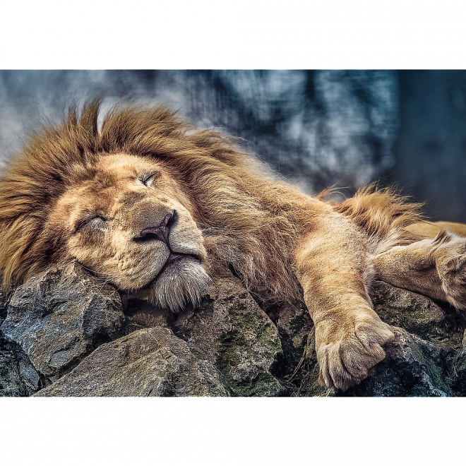 Puzzle Trefl leu adormit 1000 de piese