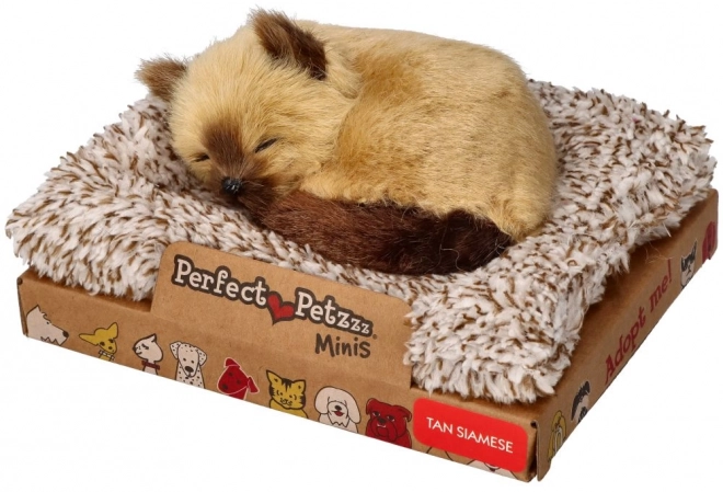 Pisicuță Siameză Perfect Petzzz