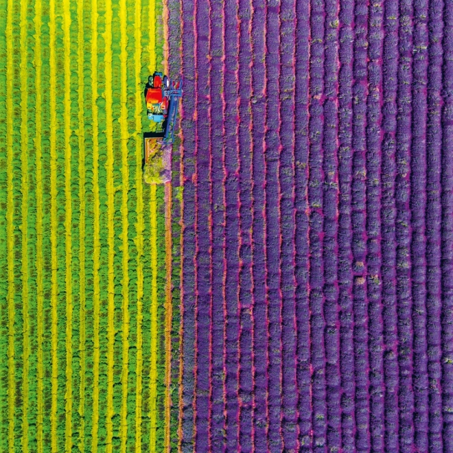 calendar notique anul 2025 cu temă provence, parfum de lavandă