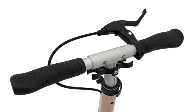 Trotineta Sportrike – Roz