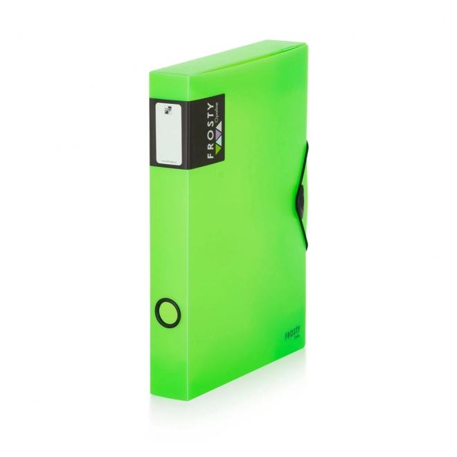 Cutie de arhivare A4 cu elastic Opaline Frosty verde