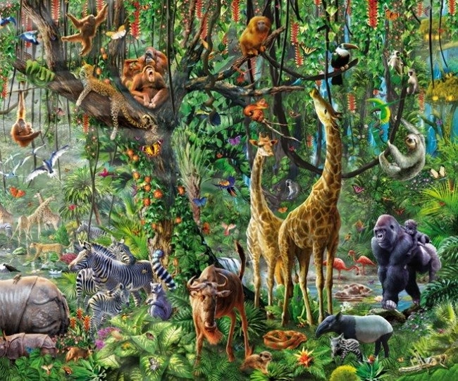 Puzzle Educa Divoacă 33600 piese