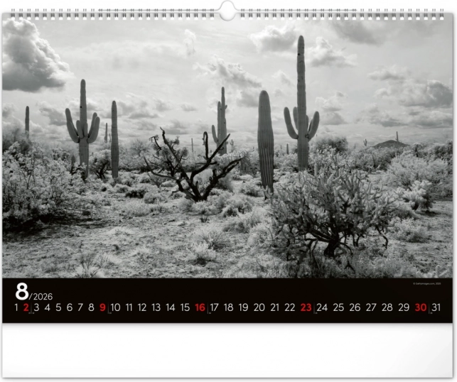 Calendar de perete Peisaj de vis 2026