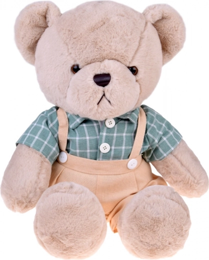 Cămașă stilată cu carouri retro