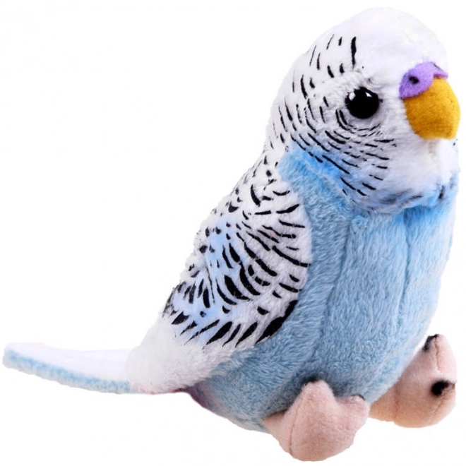 Mascota papagal albastru
