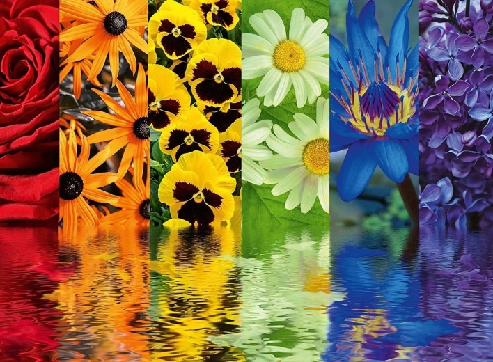 Ravensburger Puzzle Modele florale 500 piese