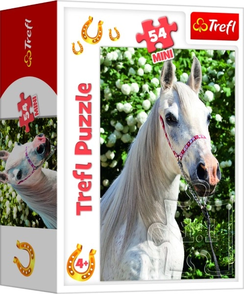 Ideal pentru copii de la 4 ani