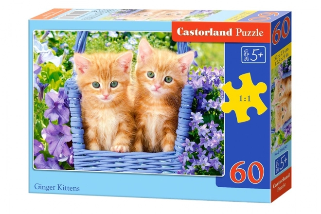 Puzzle 60 de piese Pisicuțe Ginger