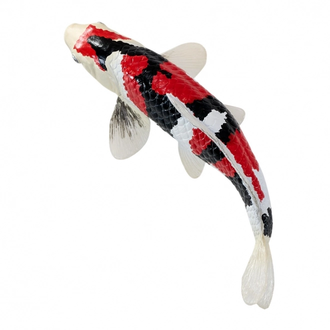 Mojo crap koi showa sanshoku
