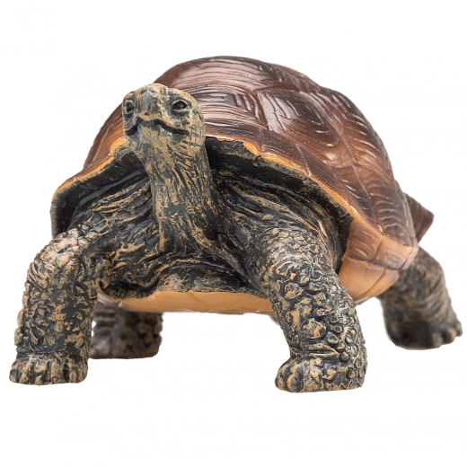 Figurină Mojo broască țestoasă uriașă – figurină realistă de animale
