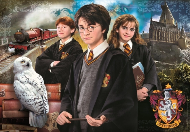 Puzzle 1000 piese Harry Potter de la Clementoni