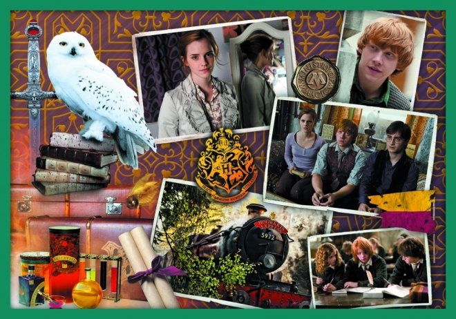 Mega pachet puzzle Harry Potter Trefl