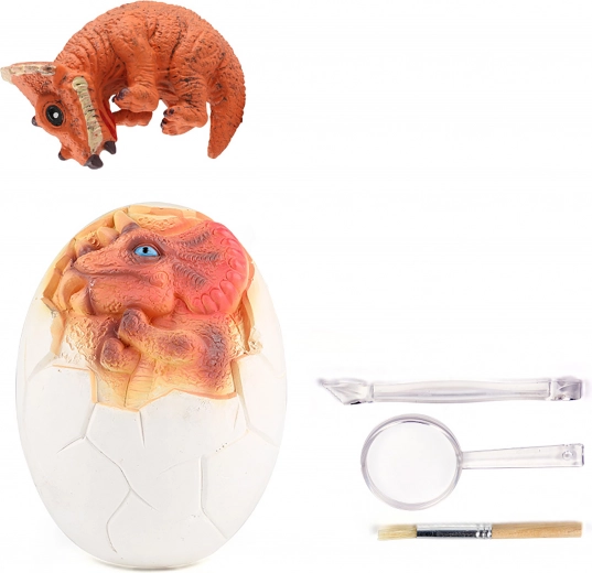 Tot ce trebuie pentru micii paleontologi