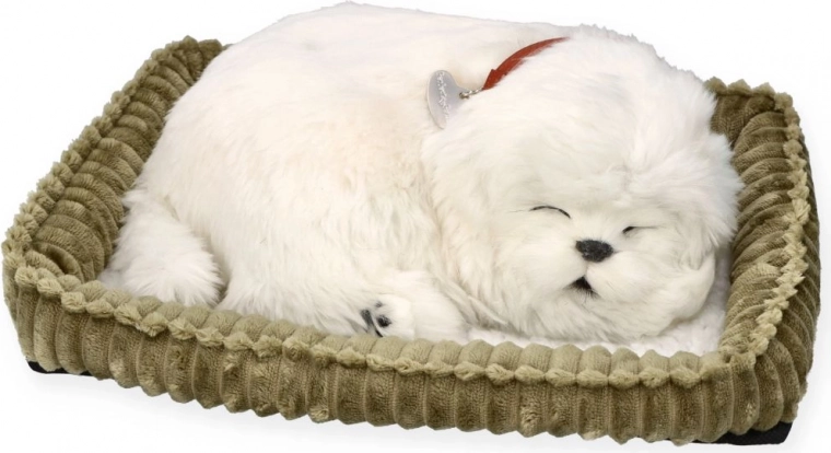 Companion realist care doarme