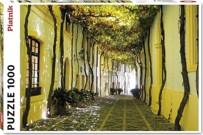 Piatnik puzzle Andalusian street 1000 piese