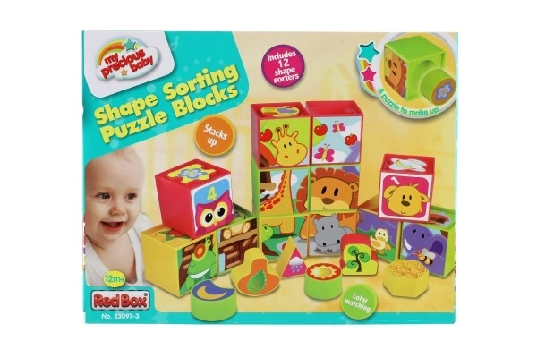 Cubes puzzle plastic 12 pcs în cutie 30x23x7cm 12m+