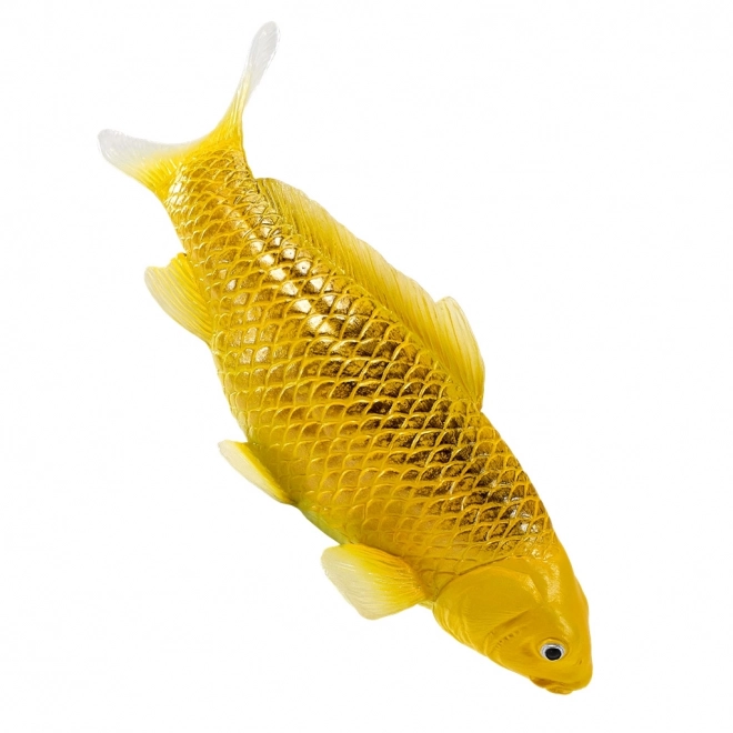 Mojo crap koi Matsuba