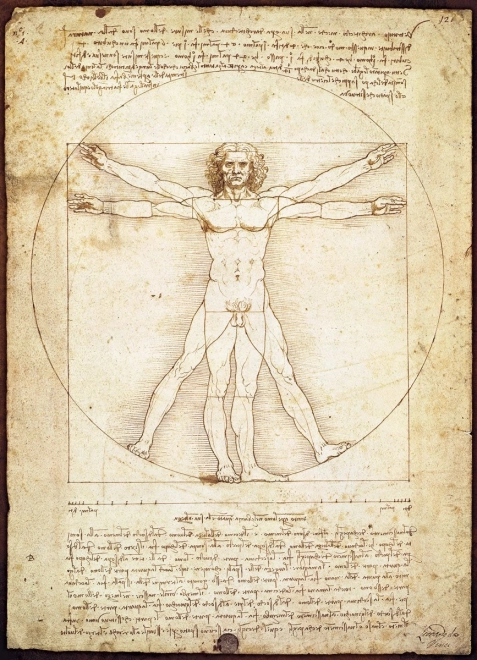 Puzzle Eurographics cu bărbatul vitruvian - 1000 piese