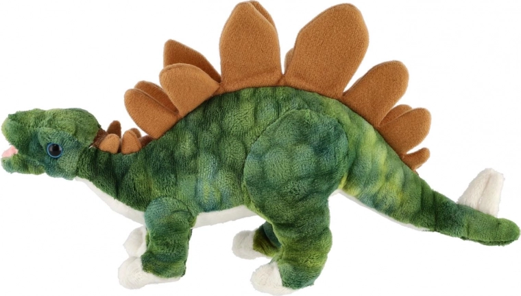 Plăci dorsale realiste pentru imaginație