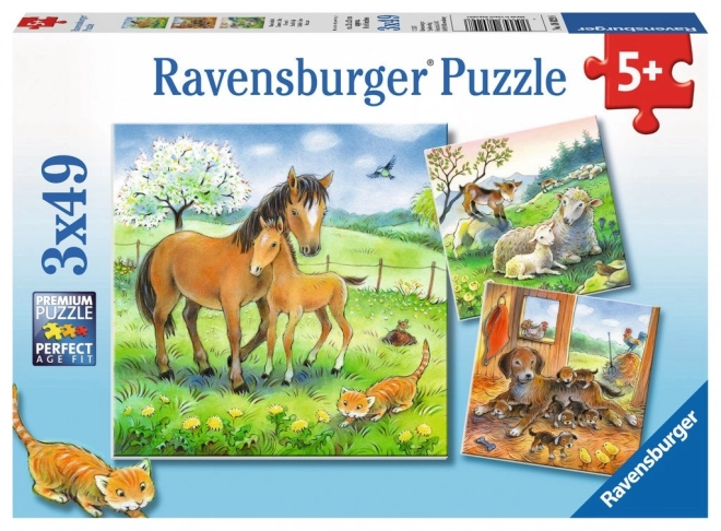 Puzzle RAVENSBURGER – Îmbrățișări cu animale, 3×49 piese