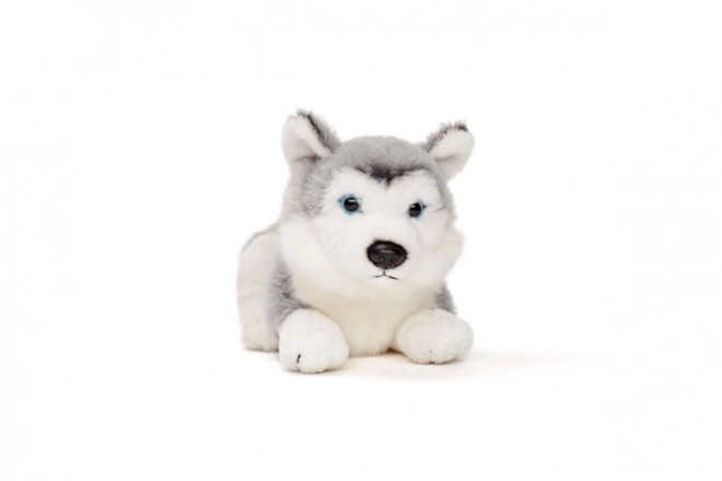 jucărie husky de pluș 15 cm