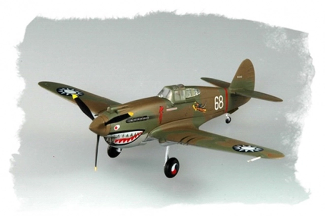 Model plastic P-40B/C Hawk-81