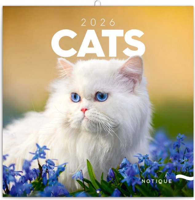 Calendar de notițe Pisici 2026
