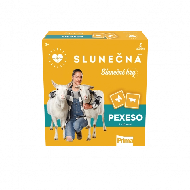 Slunečná - Joc de Memo