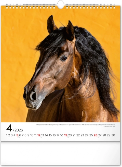 Calendar de perete Cai 2026