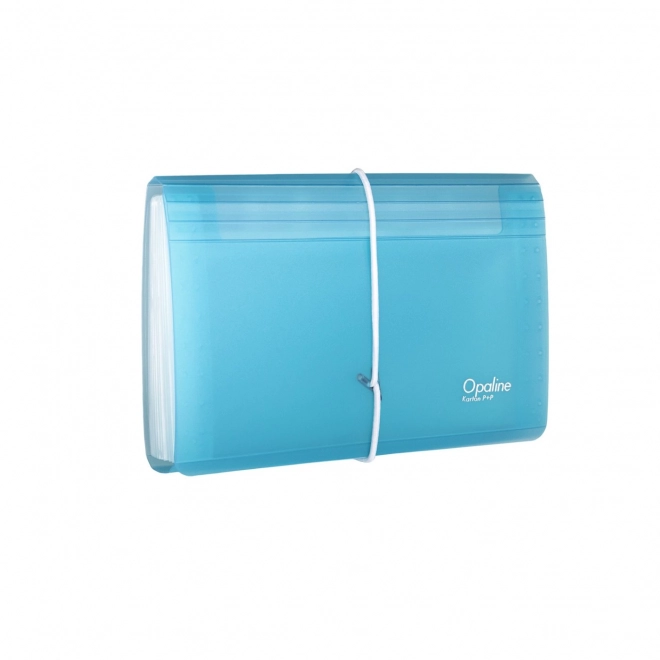 Organizator documente cu elastic Opaline transparent-albastru 13 compartimente