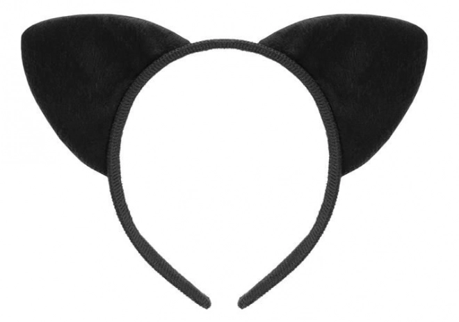 Costum pisică