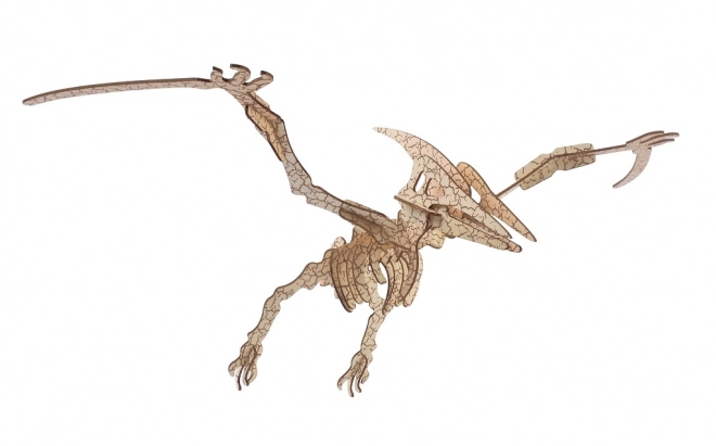 Puzzle 3D din lemn Pterosaur