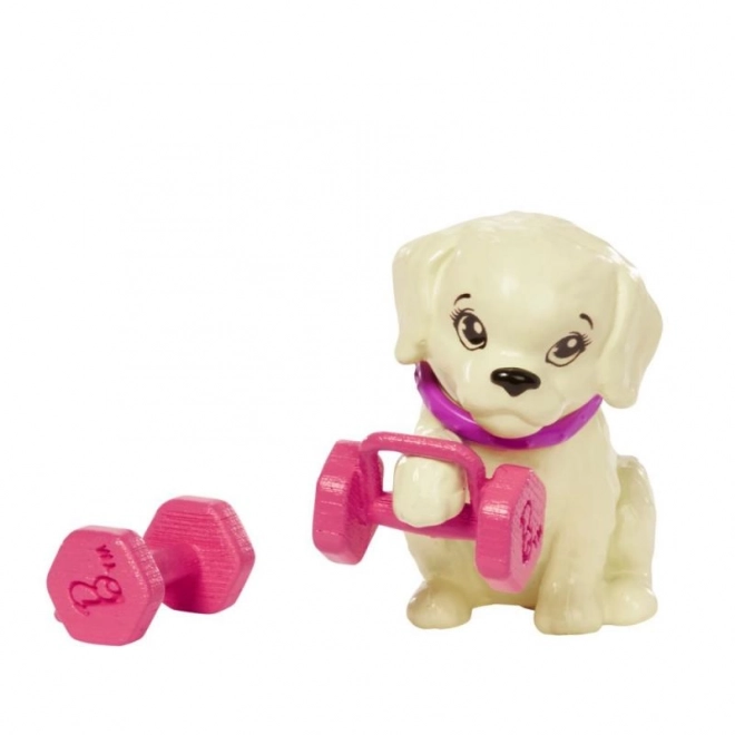 Barbie zi sportivă