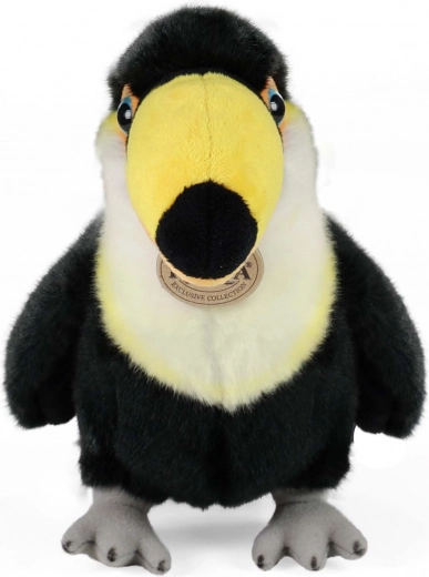 Aspect realist și detalii