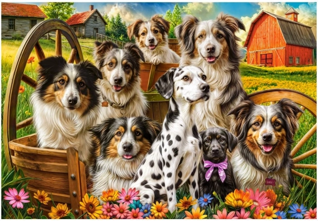 Puzzle Castorland câini fericiți la țară 1000 piese