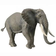 Figurină elefant african Collecta