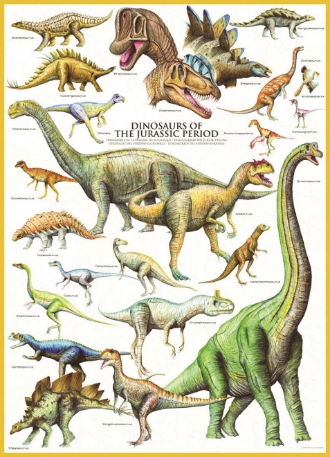 puzzle dinosaurii din perioada jurassică 1000 piese