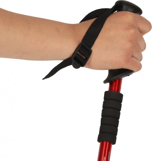 Bețe de trekking pentru Nordic Walking, pliabile, 2 bucăți, roșii