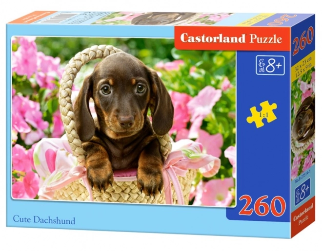 Puzzle 260 piese câine dachshund drăguț