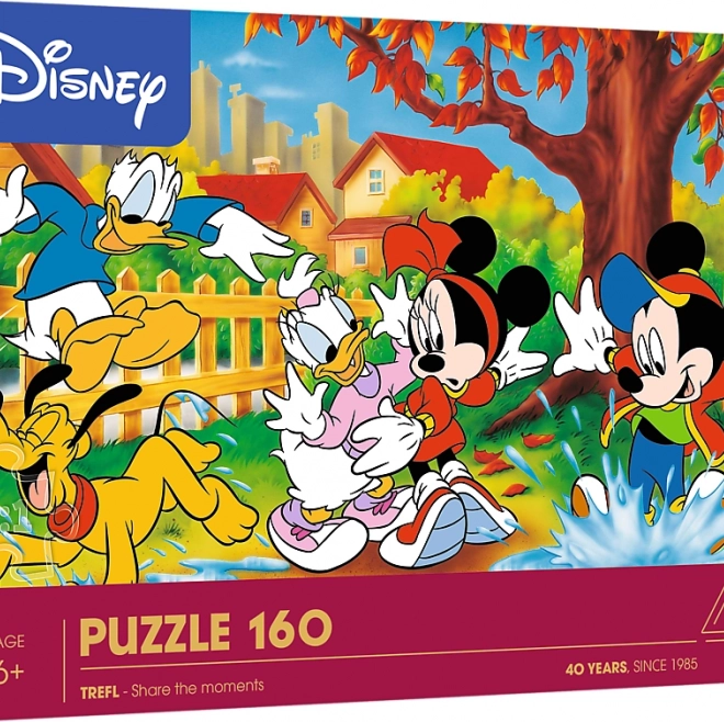 Puzzle Joc în băltoace 160 piese