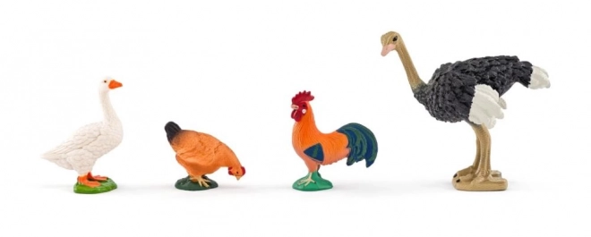 Gospodărie cu animale Faunica