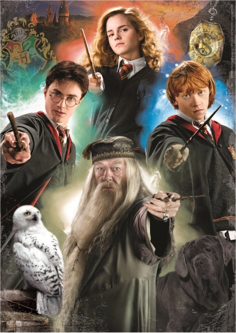 Puzzle Harry Potter de 500 piese