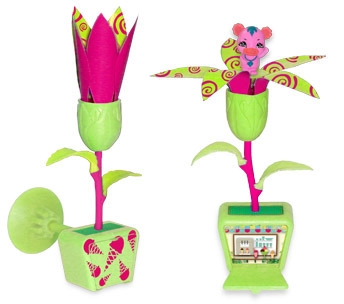 Floare care se deschide la soare