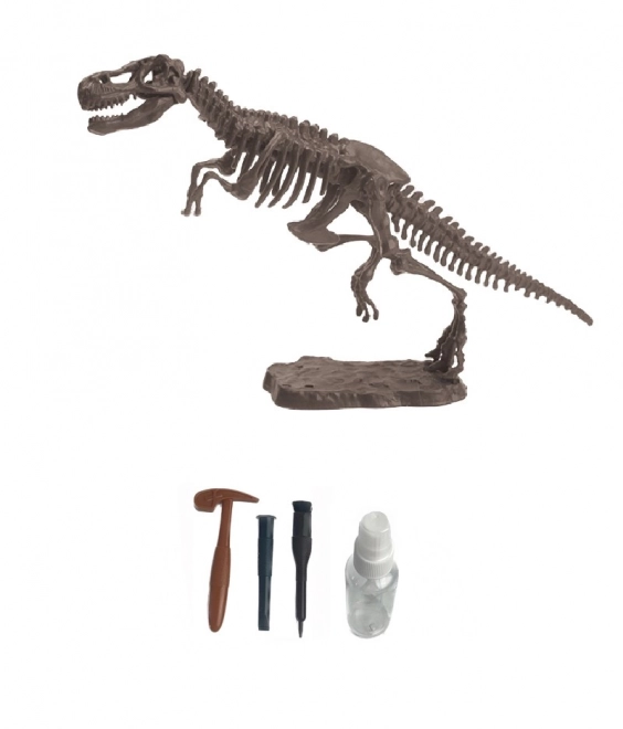 Set arheologic – Tyrannosaurus Rex