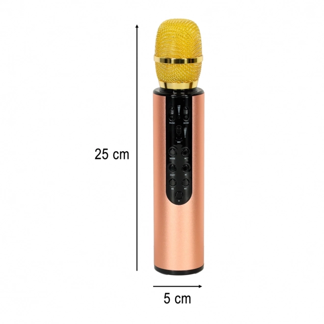 Microfon wireless de karaoke Bluetooth negru – Auriu