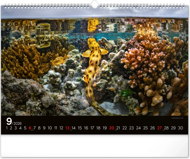 Calendar de perete Lumea subacvatică 2026