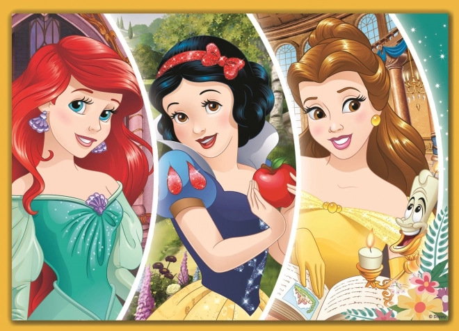 puzzle Disney Prințese zi fericită 4 în 1