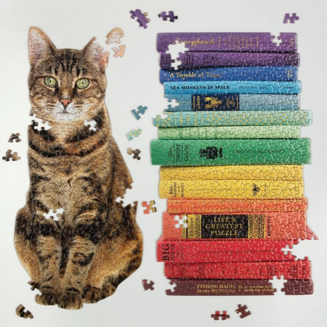 Puzzle set Regina Bibliotecilor 650 piese